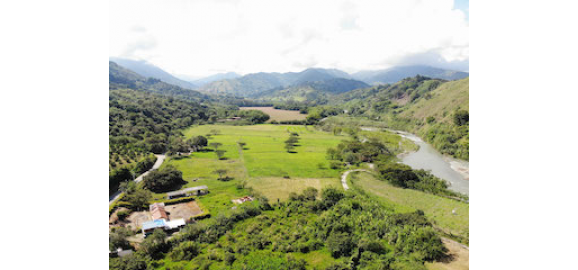 Encuentra la finca de tus sueños en los mejores departamentos de Colombia